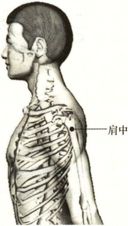 27.肩中穴